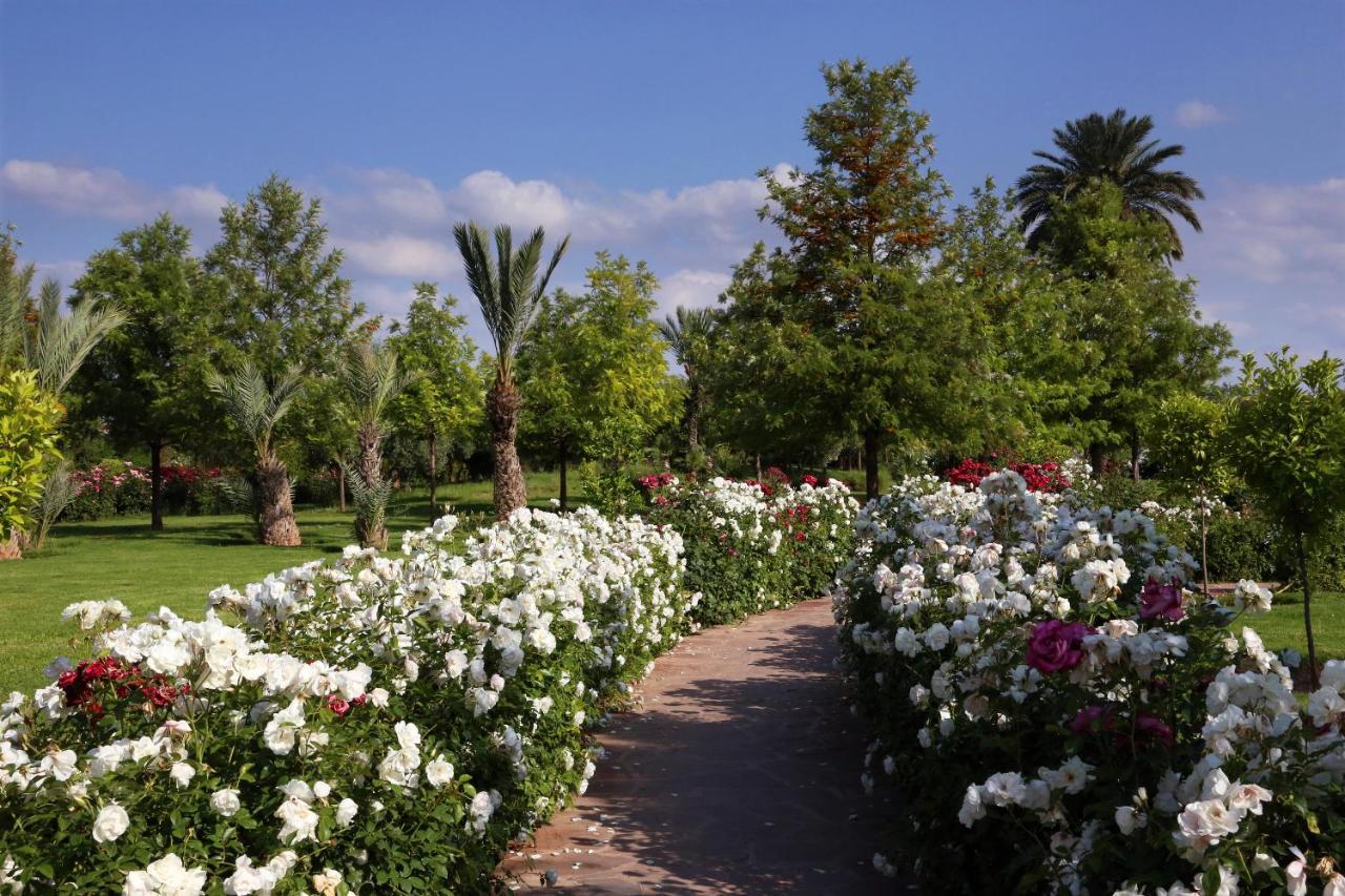 Valeria Dar Atlas All Inclusive Ouled Jelal Zewnętrze zdjęcie